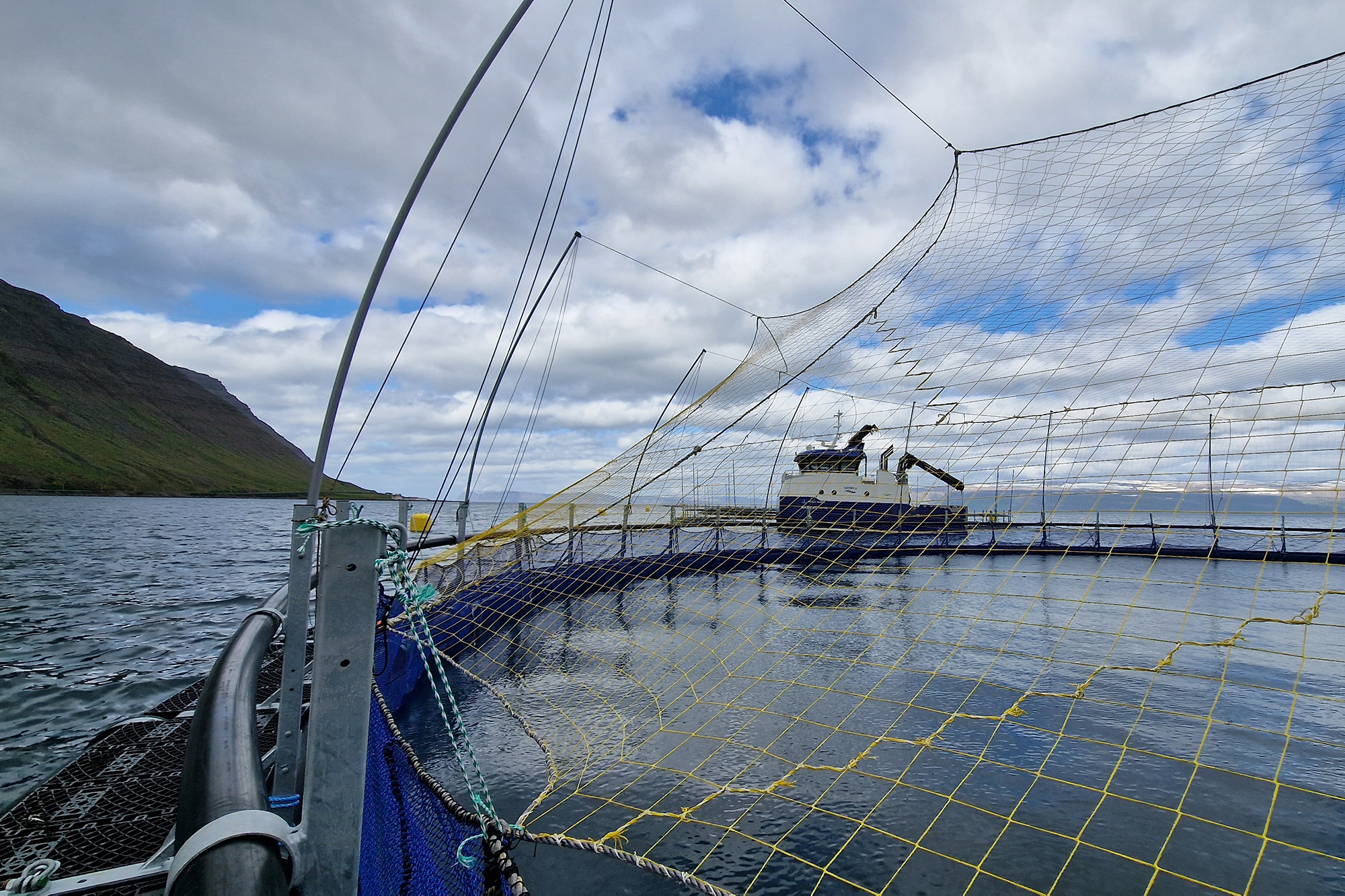 SeaQurePen Ultra Iceland